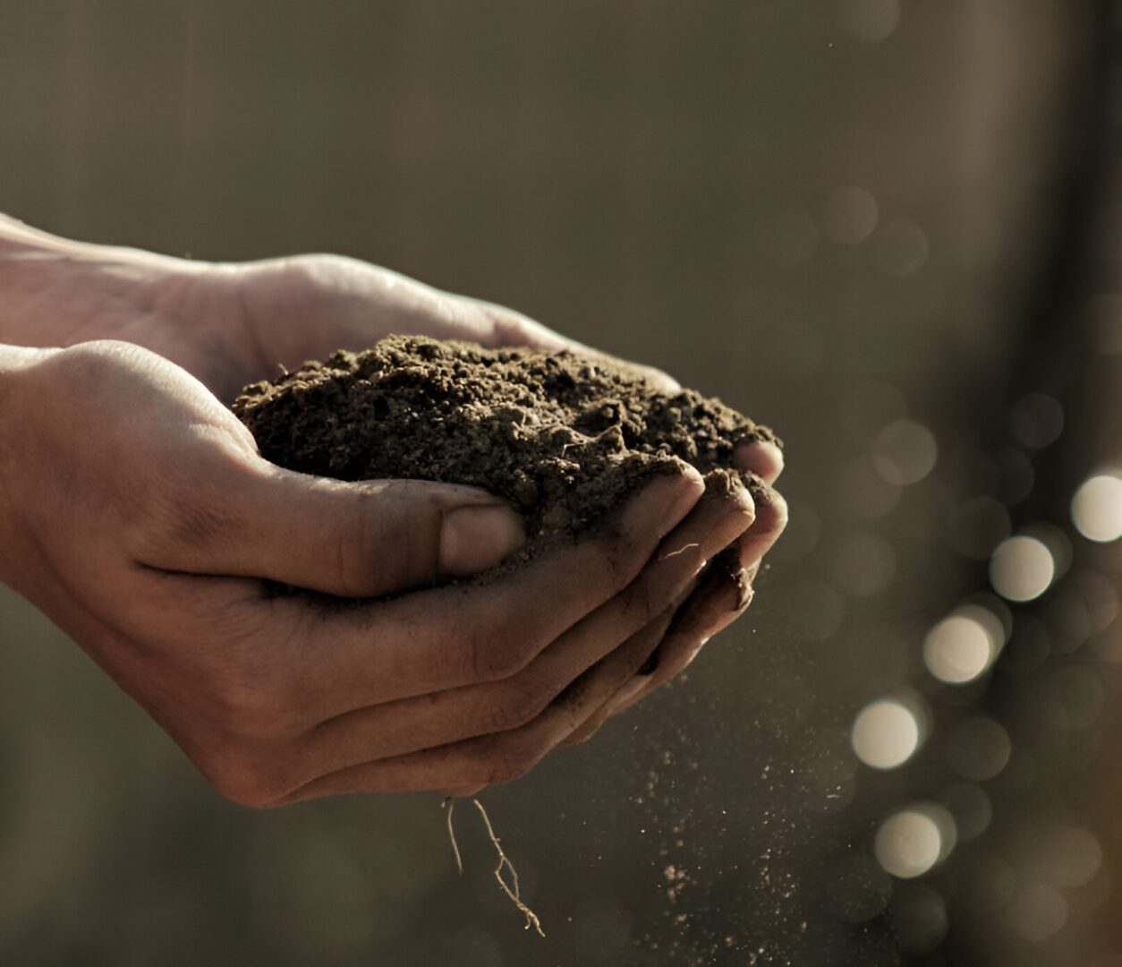 Hands holding a heap of soil with blurred lights in the background.